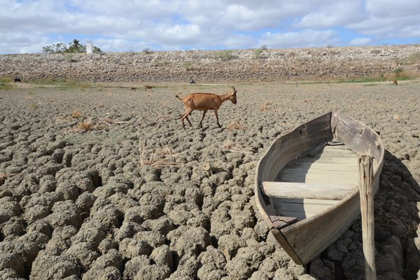 Ministério da Agricultura pagará R$ 28,9 milhões para cobrir perdas de agricultores familiares com a seca