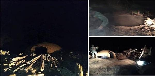Chapada: 14 fornos de carvão são destruídos em Andaraí