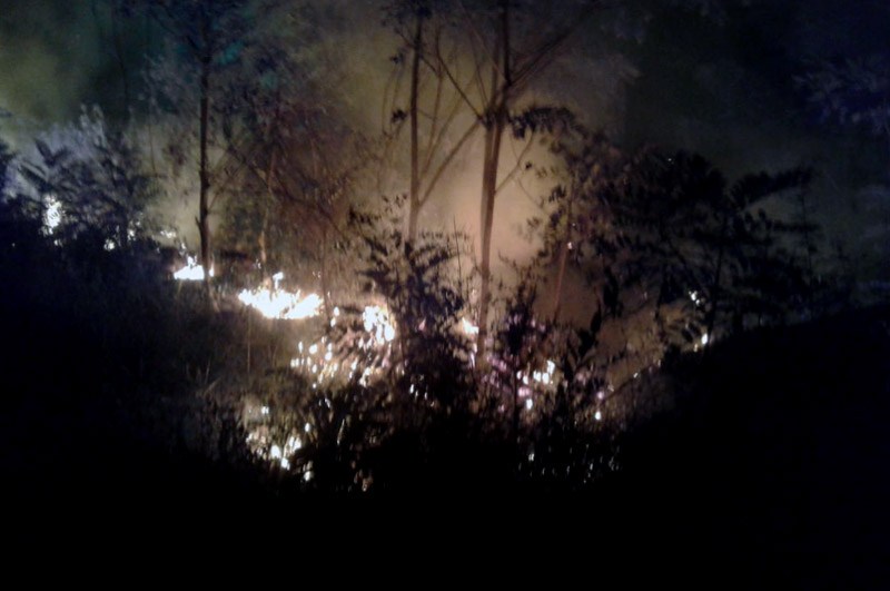 Foco de incêndio florestal é identificado em Andaraí